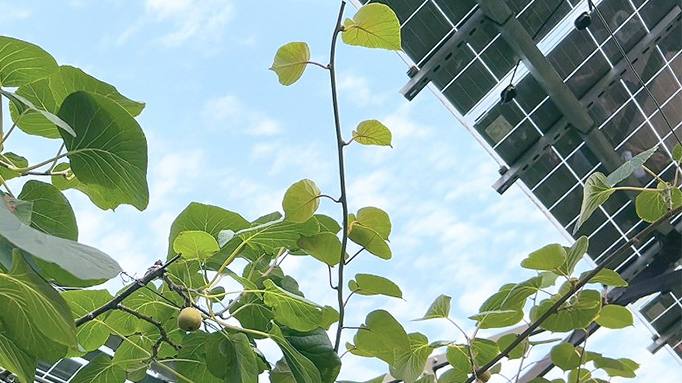 ca88�ֻ��ͻ���(��׿/ƻ��)CA88��Ա��¼���