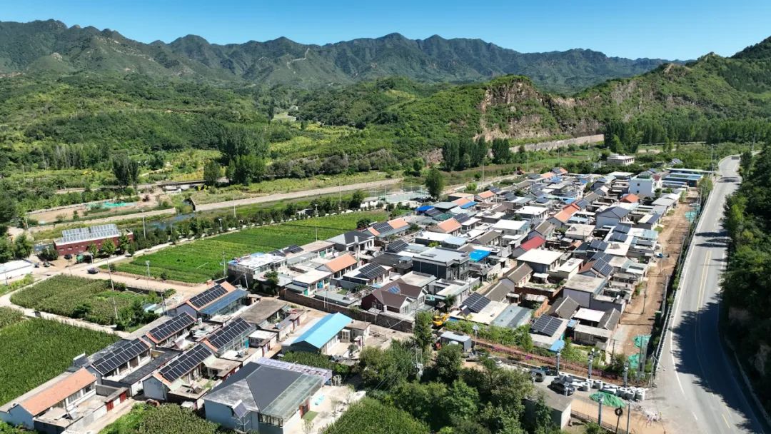 ca88�ֻ��ͻ���(��׿/ƻ��)CA88��Ա��¼���