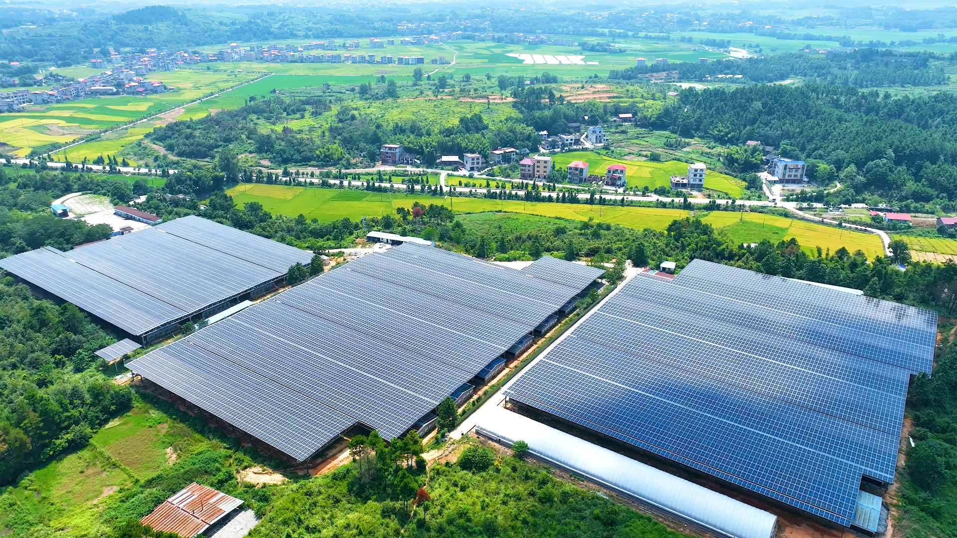 ca88�ֻ��ͻ���(��׿/ƻ��)CA88��Ա��¼���