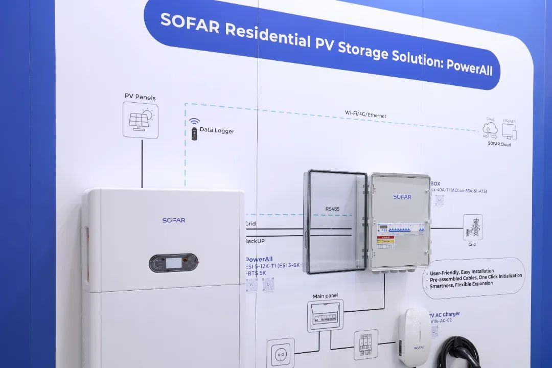 20241024142926_1207 20241024142926_1207