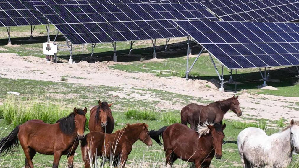 ca88�ֻ��ͻ���(��׿/ƻ��)CA88��Ա��¼���